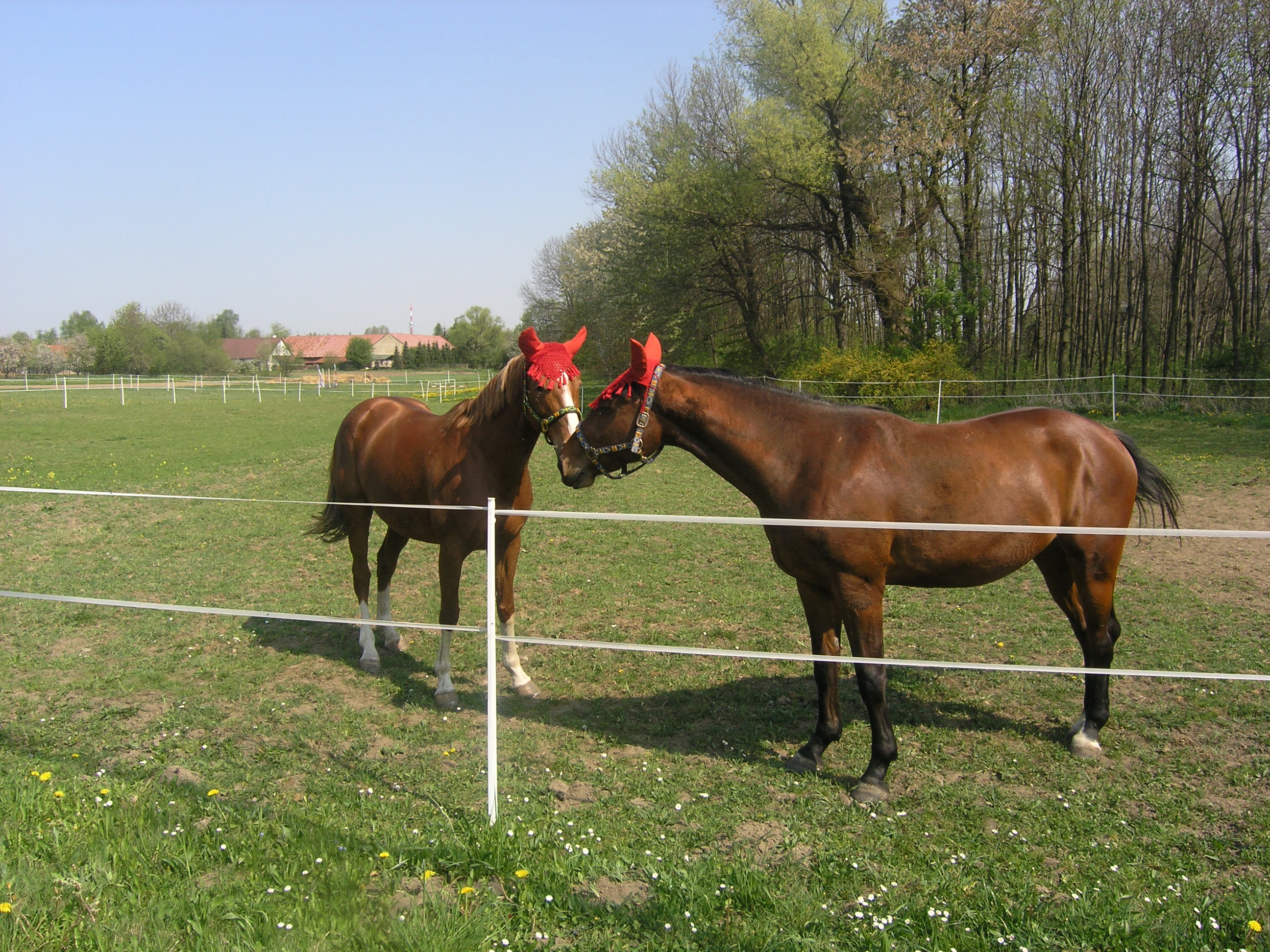 duben-červen 002.jpg