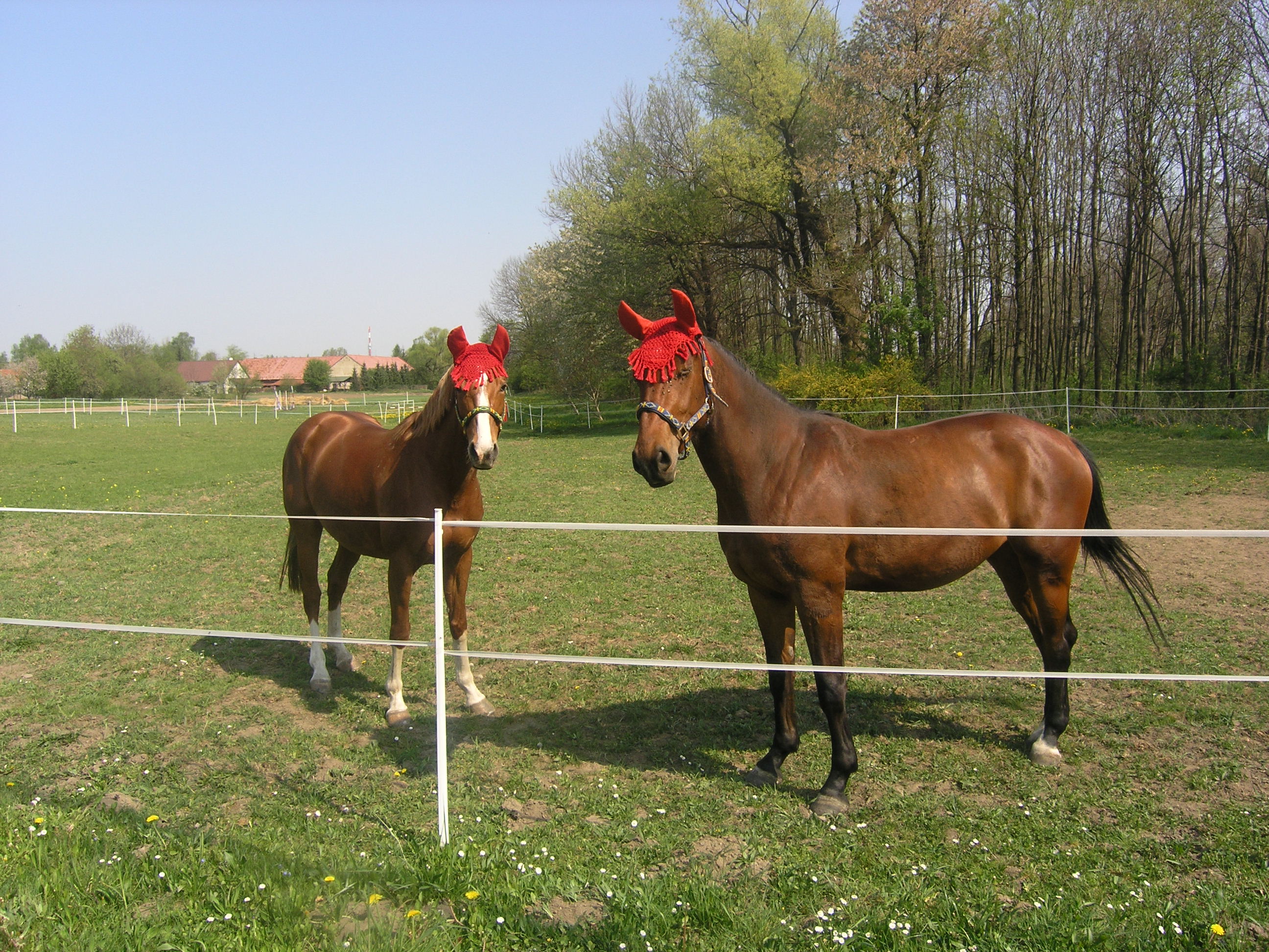 duben-červen 001.jpg