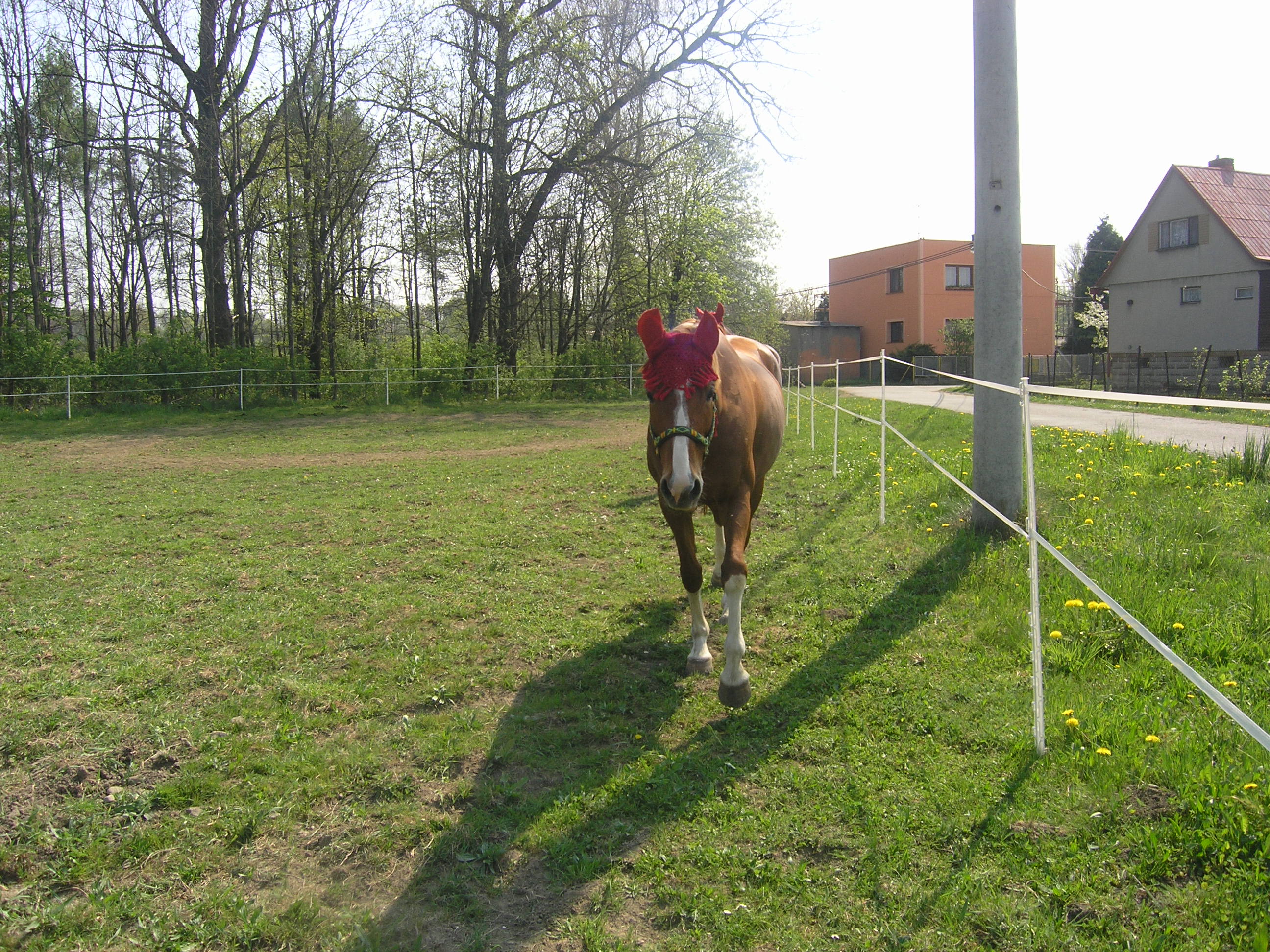duben-červen 005.jpg